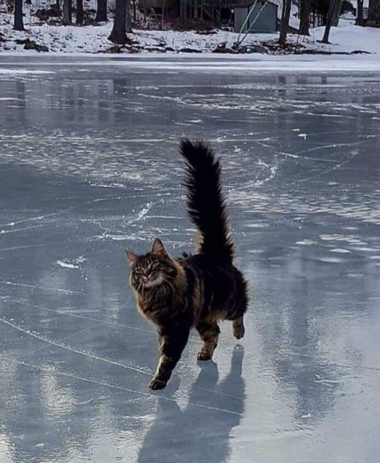 У Києві оголошено перший рівень рівень небезпеки: водіям та пішоходам дали низку порад (інфографіка, відео)
