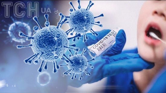 Китайські науковці виявили новий коронавірус кажанів: є ризик зараження людей