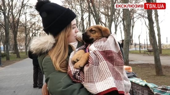 У Миколаєві волонтери намагаються прилаштувати чотирилапих, які лишився під обстрілами: зворушливі кадри