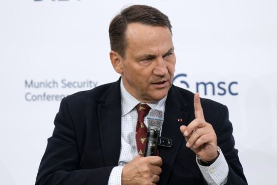 Вибори в Україні: Сікорський згадав країну, в якій бракує демократії
