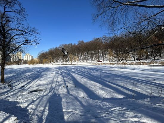 Якою буде погода в Україні 21 лютого: прогноз синоптикині