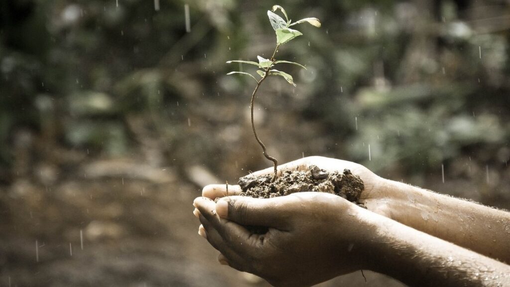 На Волині лише за 10 днів в одну з районних лікарень потрапили шестеро осіб після спроби суїциду