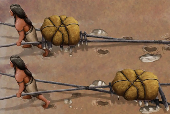 Археологічна сенсація: знайдено сліди найдавнішого транспорту