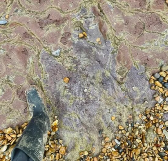 На пляжі у Великій Британії виявили унікальну знахідку: що відомо