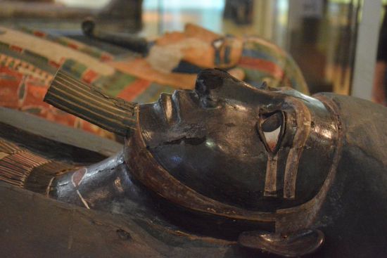 Як пахнуть давньоєгипетські мумії: вчені провели унікальне дослідження