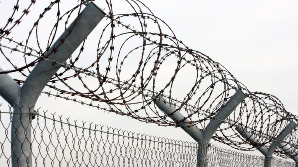 Перший випадок в Україні: водія позбавили прав через порушення військового обліку