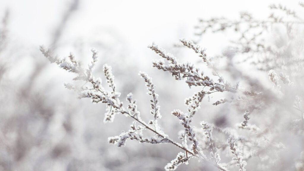 Коли Великдень у 2025 році за православним та католицьким календарями