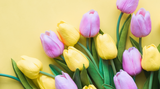 Міжнародні й державні свята в березні 2025 року: перелік та чи будуть в українців додаткові вихідні