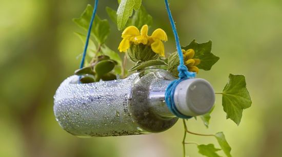 В жодному разі не викидайте пластикові пляшки: 8 способів застосування на городі