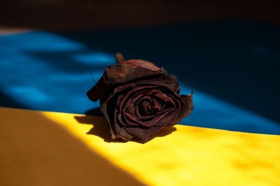 До України повернули «на щиті» 909 захисників
