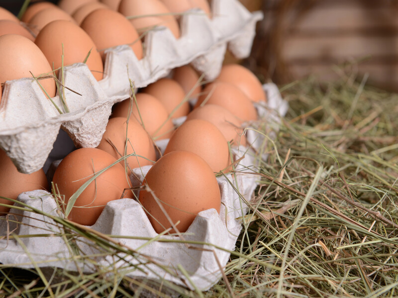 Зробіть це зі свіжими курячими яйцями – і тоді їх можна буде зберігати до шести місяців