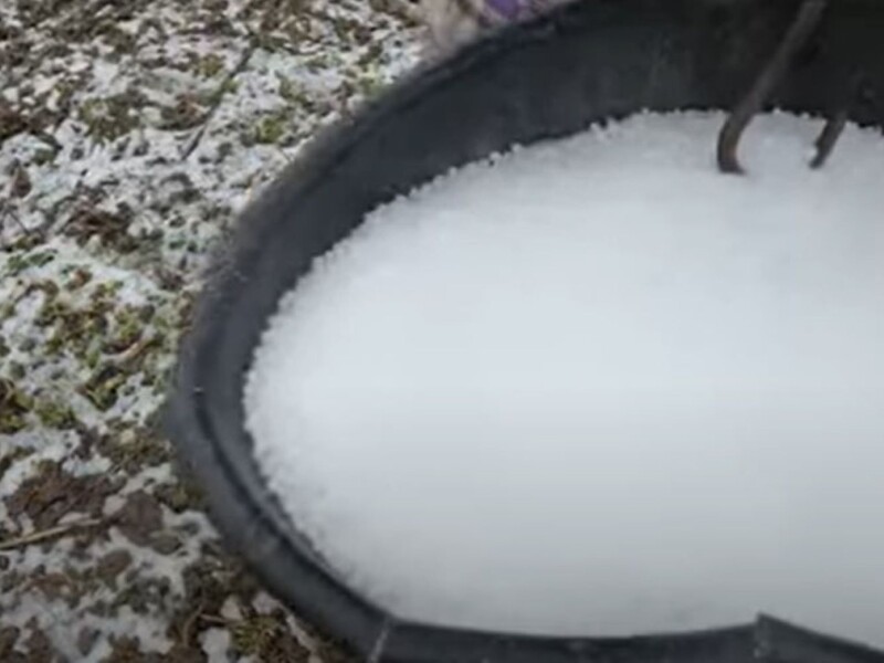 "Хто буде підживлювати – у вас є ще тиждень". Український фермер розповів про весняне підживлення малини