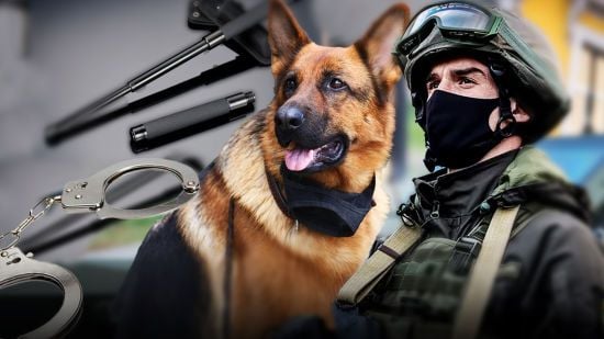 Які зміни можуть внести до закону про Нацгвардію: в МВС дали чітке роз'яснення Які зміни можуть внести до закону про Нацгвардію: в МВС дали чітке роз'яснення