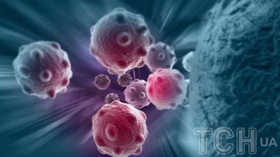 Революційна сполука, що зупиняє рак, знайдена у звичайному садівництві