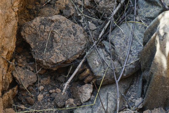 Втрати Росії станом на 4 березня: Генштаб оновив дані