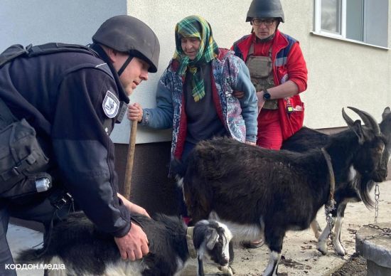Не могла кинути: з прикордонного Миропілля на Сумщині евакуювали бабусю разом з козами (фото)
