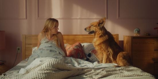 Хто зіграв краще - актори чи собаки: огляд комедії з Лесею Нікітюк "Песики"