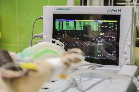 У Вінниці від родичів ветерана АТО вимагали гроші за операцію на серці: що кажуть у МОЗ