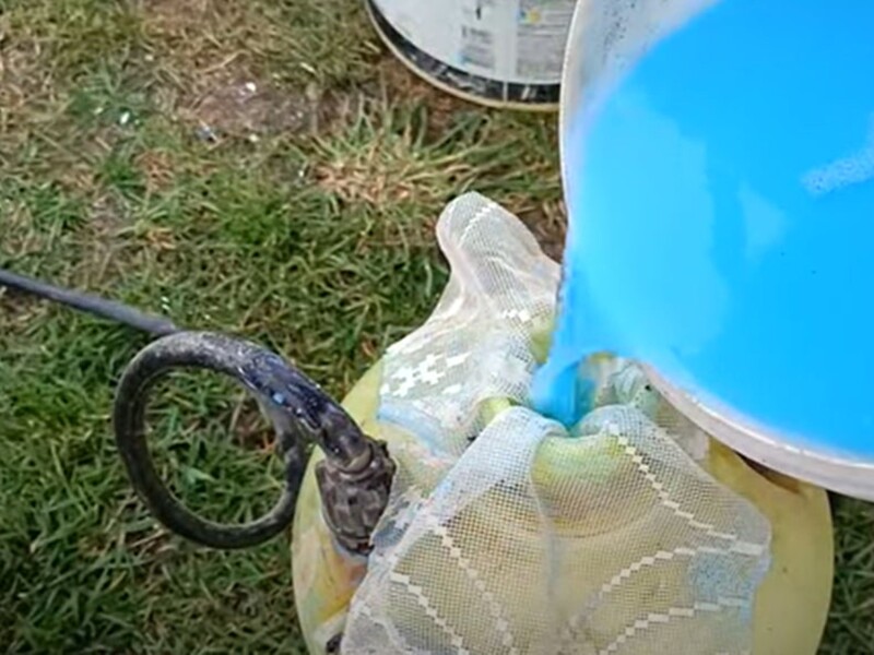 Через цю помилку бордоська суміш буде неякісною. Садівник розповів, як потрібно готувати розчин