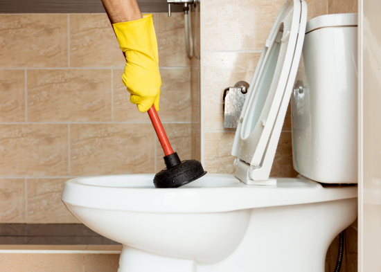 Чому чай і суп в жодному разі не можна виливати в унітаз: запам’ятайте це назавжди