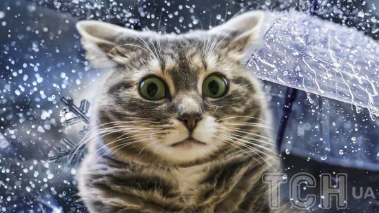 Діставайте парасолі: на Україну сунуть дощі та сніги (мапа, відео)