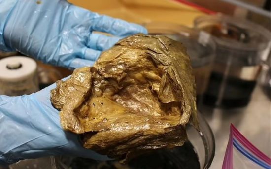 Вчені не знають, що це таке: на дні океану біля Аляски знайдено таємниче золоте яйце