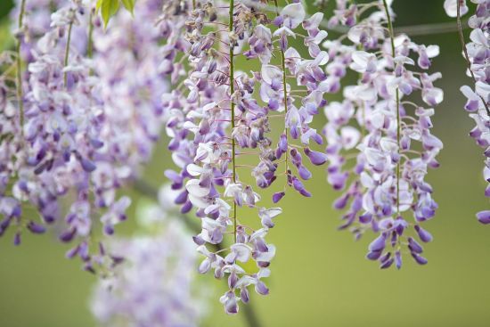 Яка погода очікує українців перед вихідними: прогноз синоптиків