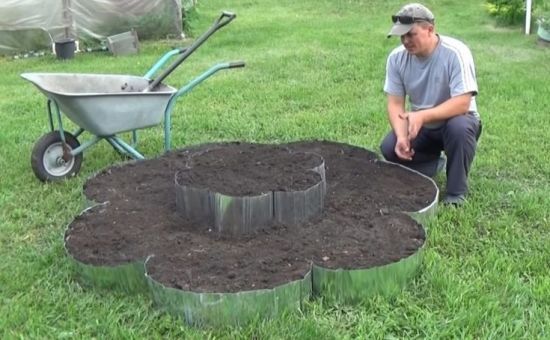 Які квіти варто посадити зараз, щоб тішили цвітінням все літо