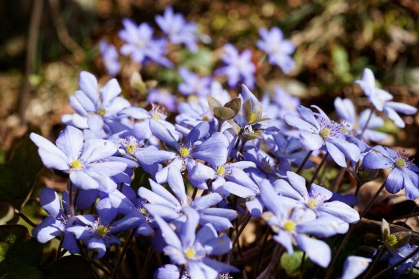 Народні прикмети сьогодні, 30 березня: що заборонено і дозволено робити