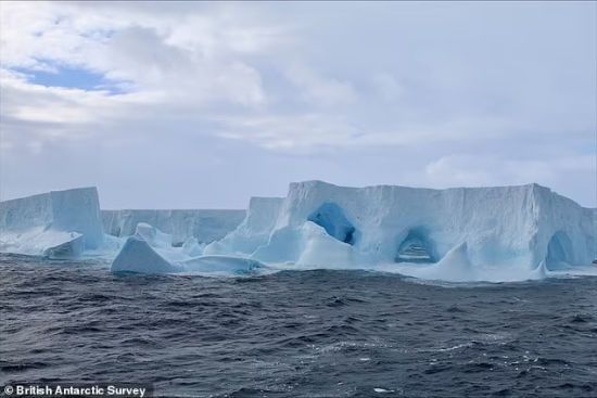 Найбільший у світі айсберг сів на мілину: екологи попередили про небезпеку