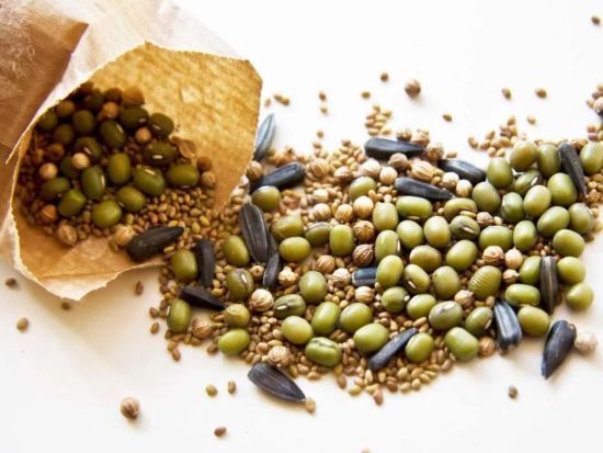 Насіння яких культур потрібно замочувати перед посадженням: візьміть собі на замітку