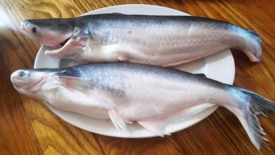 Названо рибу, яку категорично не можна їсти, хоча її продають в усіх супермаркетах