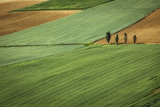 Які податки потрібно сплатити під час продажу землі в Україні