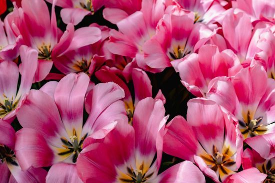 День ангела 1 березня: кого та як вітати з іменинами