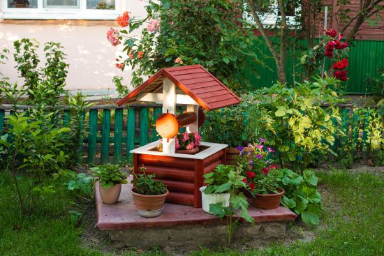 Які кущі біля дому залучають щастя й захищають від зла: таких аж п’ять