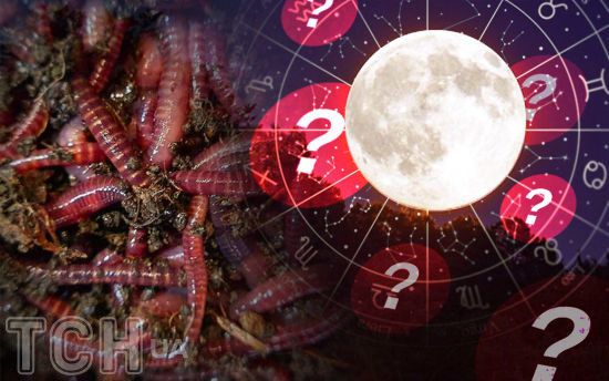 Кривава повня хробака 14 березня 2025 року: що категорично заборонено робити