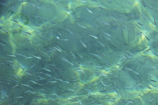 Вчені переглянули історію походження води: вона з’явилася набагато раніше, ніж вважалося