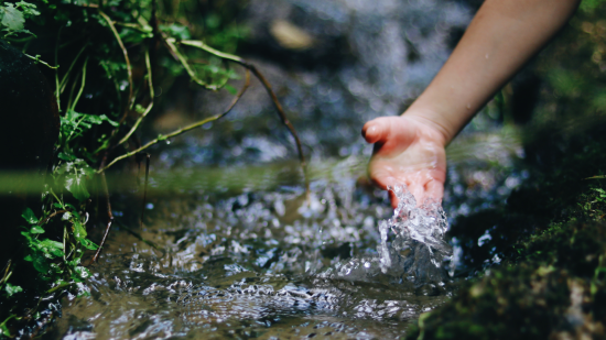 Коли Поливаний понеділок 2025 року: дата, традиції, чому він так називається
