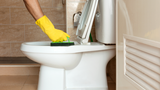 Унітаз засяє, як новий: додайте до води доступні інгредієнти і трішки зачекайте на результат