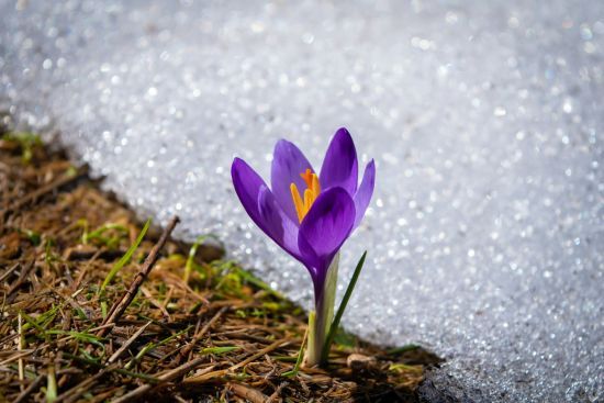 Народні прикмети сьогодні, 16 березня: що заборонено і дозволено робити