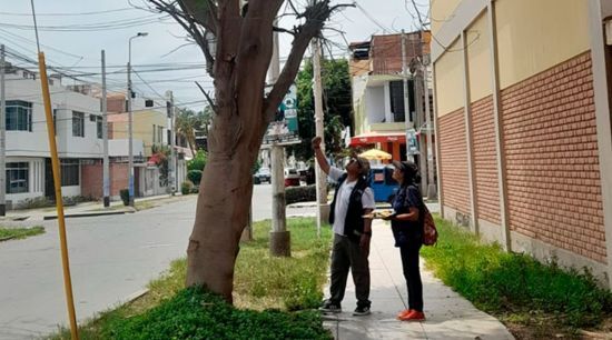 Пухнастий злодій: домашнього улюбленця спіймали після серії пограбувань будинків – фото