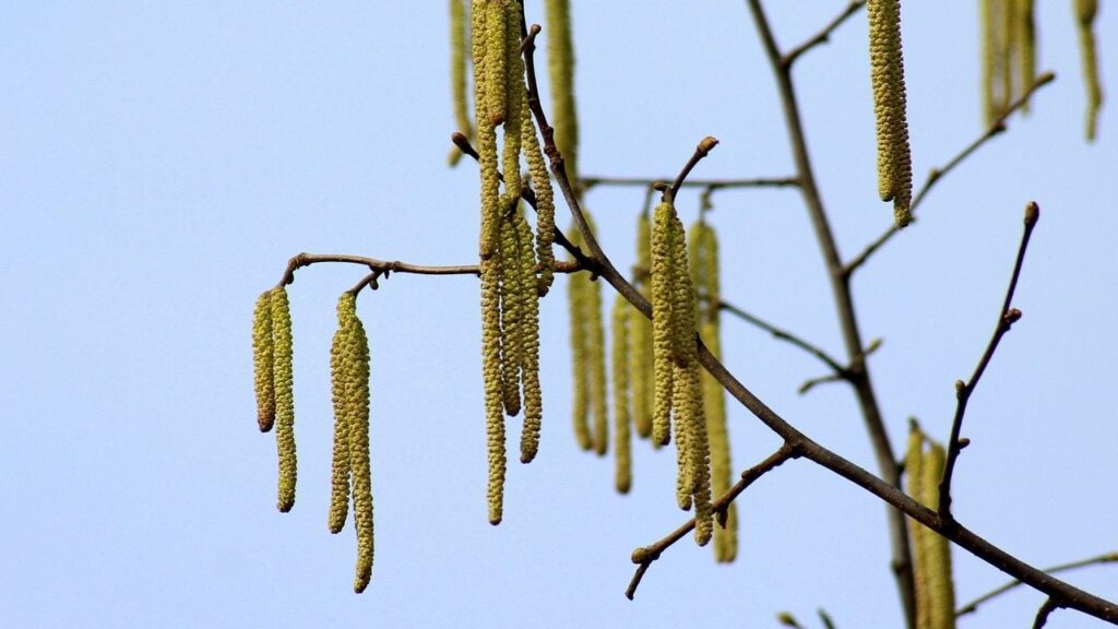 Яке свято 23 березня 2025 та чому слід ховати гроші