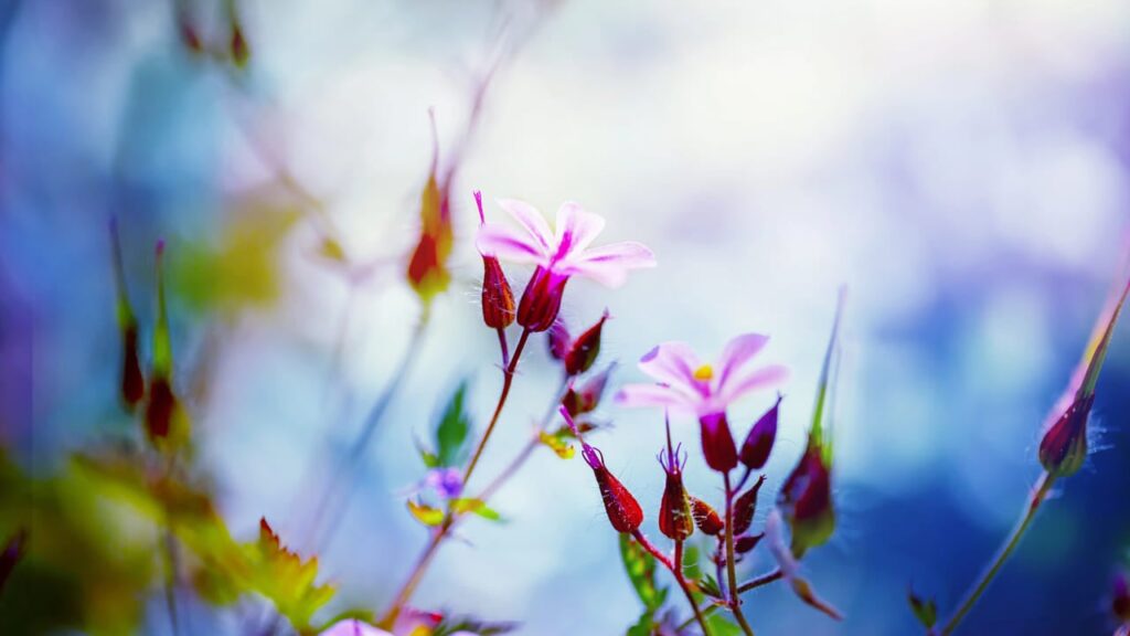 Яке свято 29 березня 2025 року та чому цього дня не варто піднімати важкого