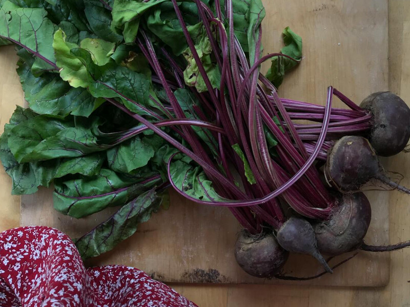 Коли й на яке місце сіяти столовий буряк у відкритий ґрунт у травні. П'ять найкращих сортів
