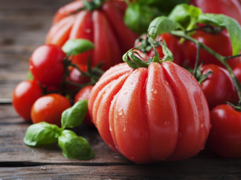 Вони не схожі на звичайні помідори: п'ять сортів, які варто посадити хоча б раз