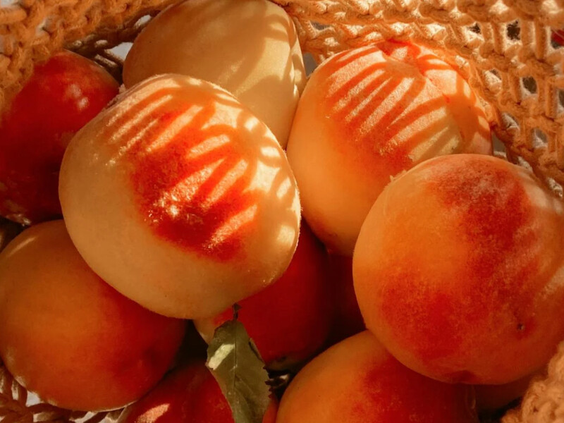 Поливаєте всі дерева однаково? Саме тому у вас родять кислі персики й тріскаються сливи