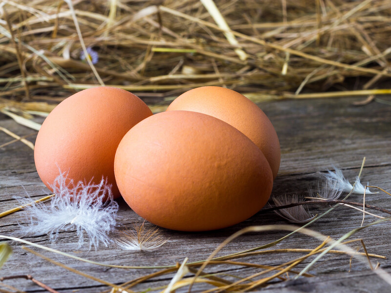 Як змусити курей краще нестися до Великодня: чотири правила, щоб мати свіжі яйця