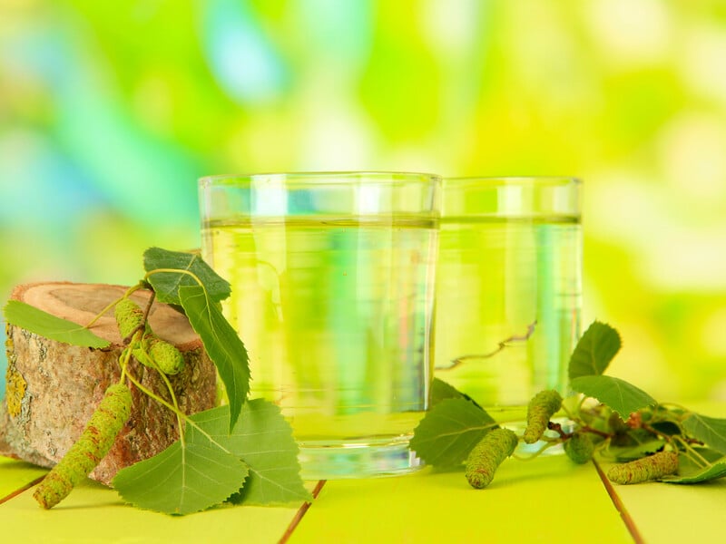 Зробіть це – і вийде найкращий квас із березового соку. Рецепт швидкого і легкого напою