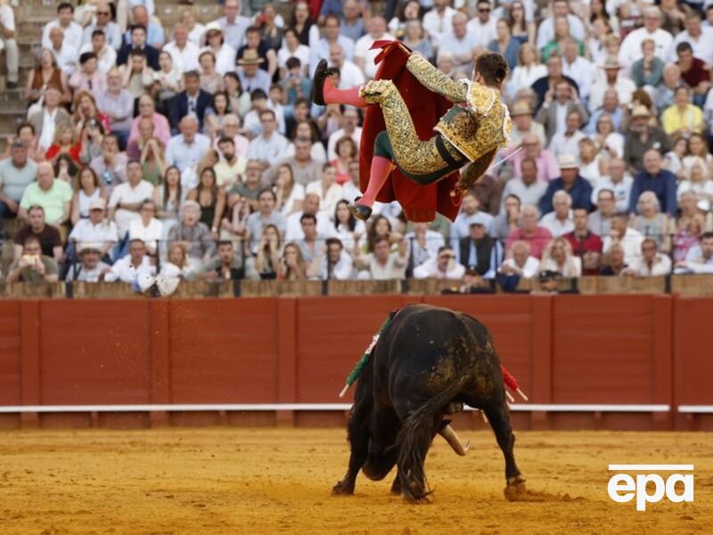 Іспанського тореадора під час кориди атакував закривавлений бик. Фото
