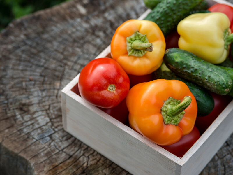 Чотири помилки, через які перець гірчить: що треба знати, щоб урятувати смак урожаю